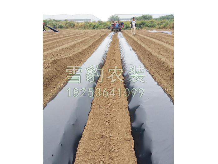 200型双垄起垄施肥覆膜铺管一体机.jpg