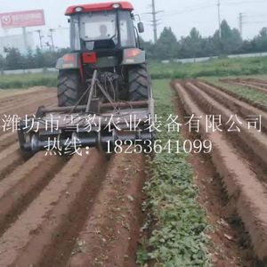 胡萝卜起垄机240型