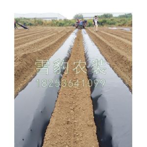 200型双垄起垄施肥覆膜铺管一体机