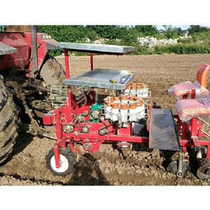 双行中药材移栽机