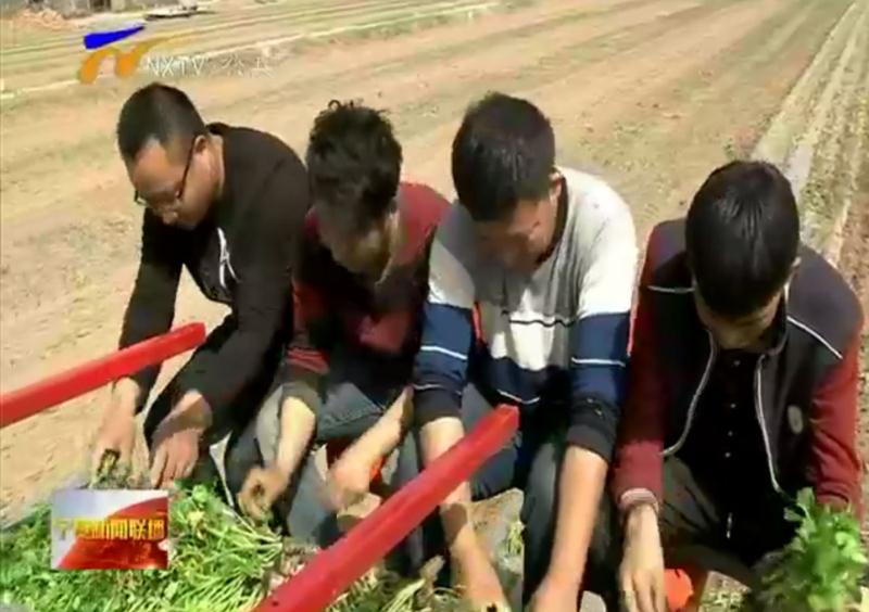 雪豹农装在宁夏