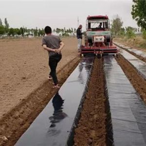 230双垄旋耕起垄镇压施肥铺膜铺管一体机