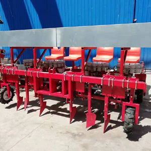 四行芍药桑树苗移栽机