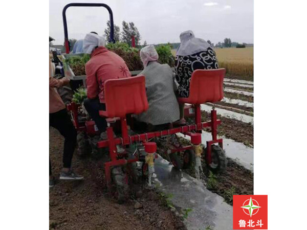 两行辣椒移栽浇水一体机002.jpg
