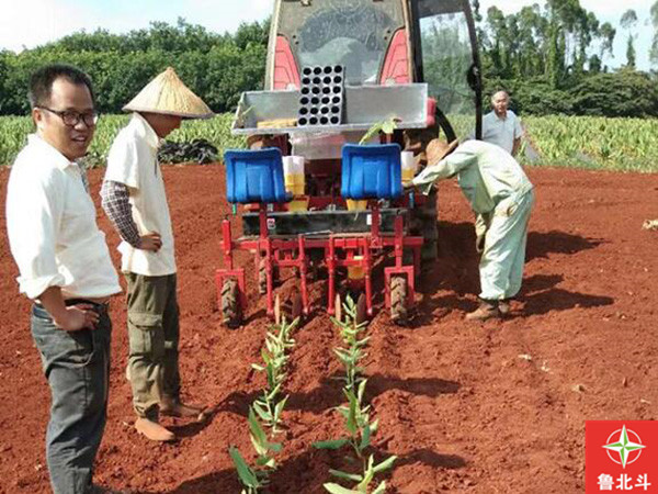 两行烟苗移栽机.jpg