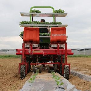 两行白菜移栽机