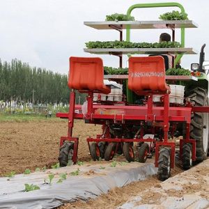 两行白菜移栽机