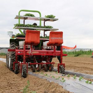 两行白菜移栽机