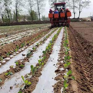 两行白菜移栽机