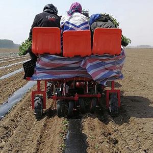 两行辣椒移栽机