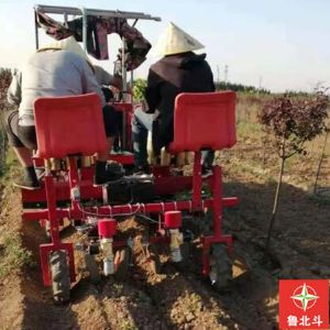 两行辣椒移栽浇水一体机