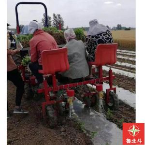 两行辣椒移栽浇水一体机