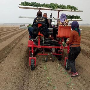 两行蔬菜移栽机