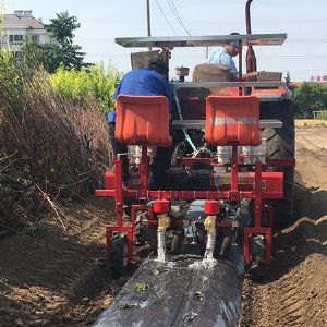 两行蔬菜移栽浇水一体机