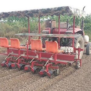 四行油用牡丹移栽机