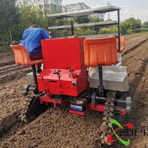 芹菜，洋葱，娃娃菜移栽机