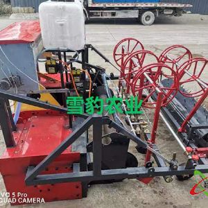 鲁北洋葱一体机